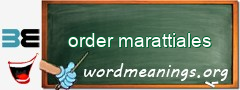 WordMeaning blackboard for order marattiales